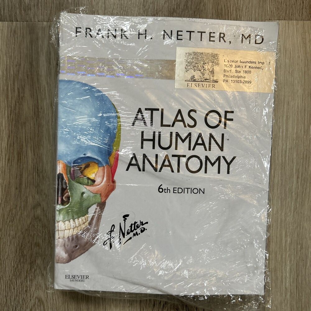 Atlas of Human Anatomy 6th Edition Updated Imprint Paperback by Frank Netter